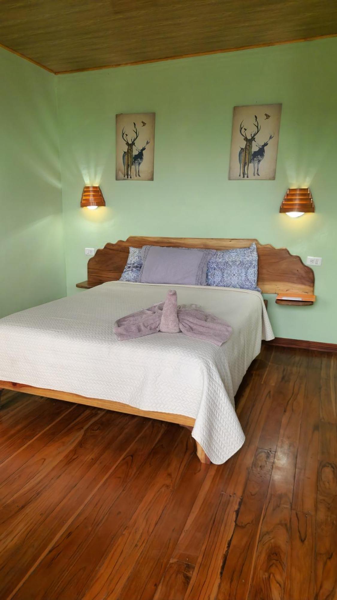 Twin Palms Lodge Monteverde 객실 사진